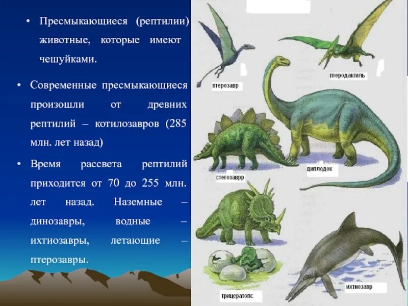 Назовите 3 пресмыкающихся. Пресмыкающиеся названия. Рептилии названия. Какие животные пресмыкающиеся. Список пресмыкающихся животных.