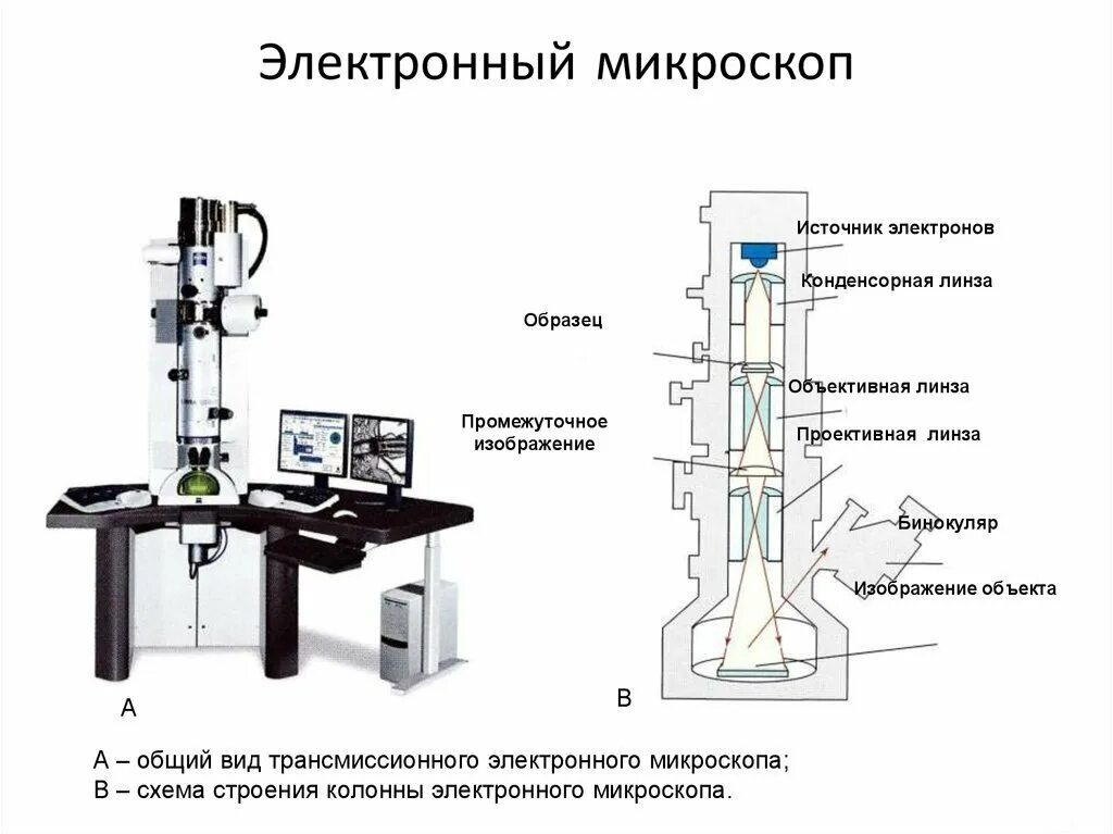 Transmission Electron Microscope----Wuhan Institute of Virology