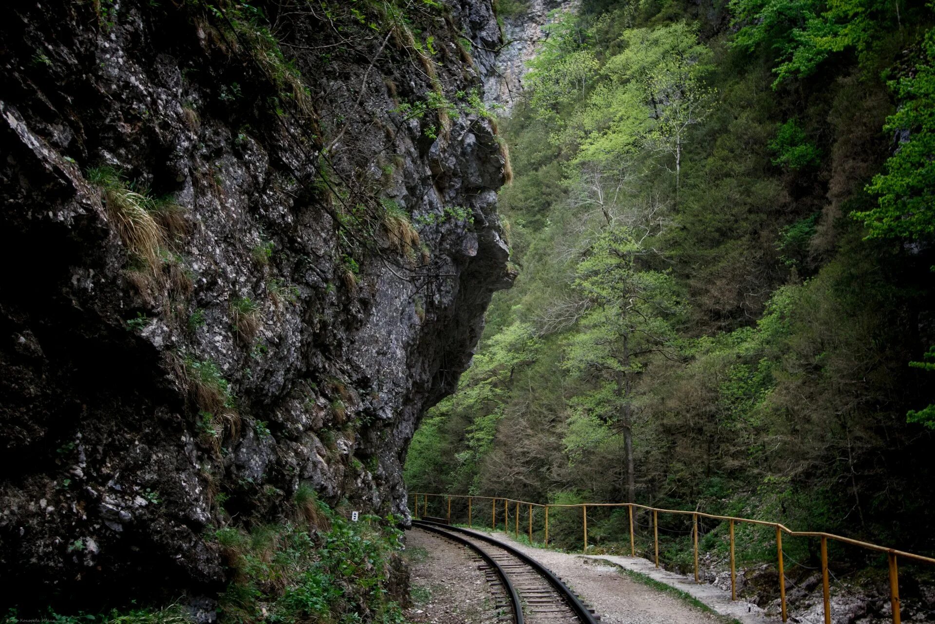 Гуамское ущелье ущелья. Гуамка уезд. Апшеронск хутор гуамка. Мезмай поляна домик. Хутор гуамка апшеронский район.