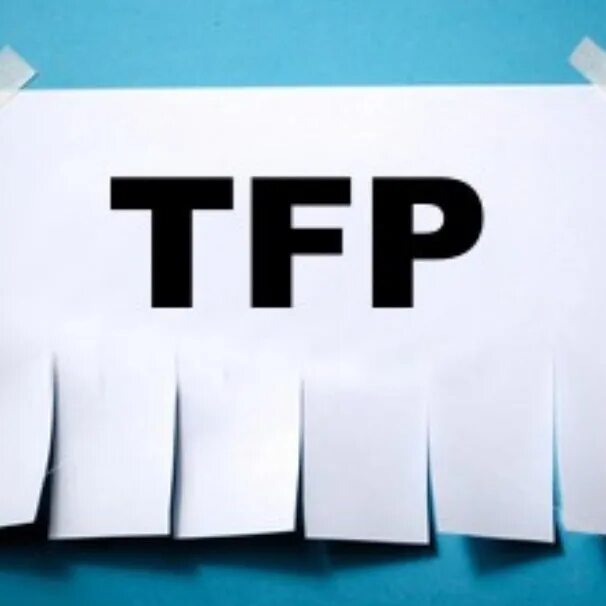 Tfp модель. Тфп модель. тфп съемка. tfp модели. tfp фотосессия что это.