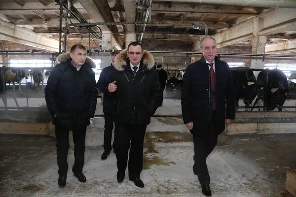 Ооо возрождение ульяновск. Ооо возрождение г. Возрождение саратовская область. Возрождение ульяновск. 5 поликлиника ульяновск авиастроителей.