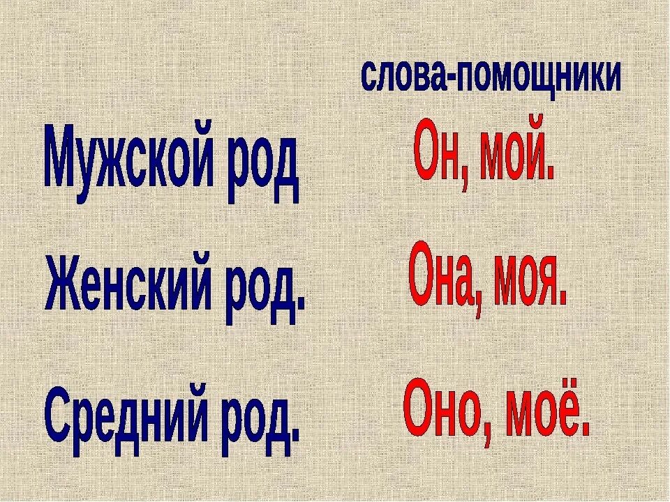 Род имен существительных. Род имён существительных 3 класс. Роды имен существительных 3 класс. Род имён существительных 2 класс.