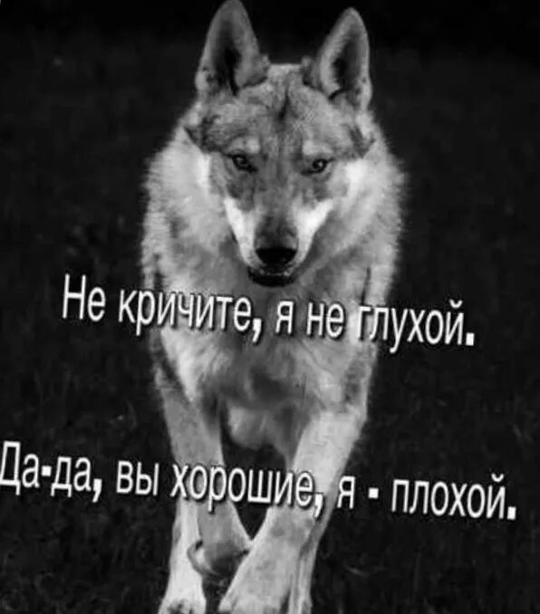 ты хороший я плохая стих ахматова. стихи молодого автора. текст стиха. стих я плохая ты хороший рот от гнева перекошен. "стихи".