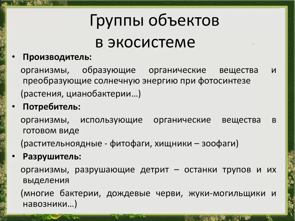 Производители в экосистеме. Производители органических веществ в экосистеме. Группы организмов биогеоценоза. Потребители органических веществ в экосистеме.