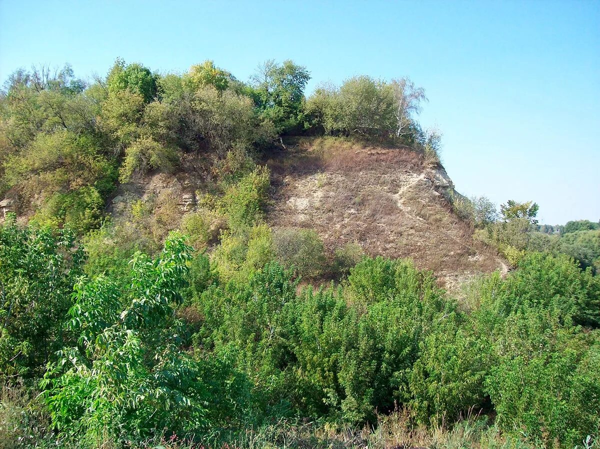 Кафе тяпкина гора. Турецкий спуск лебедянь. Парк тяпкина гора. Тяпкина гора лебедянь. Кафе тяпкина гора.