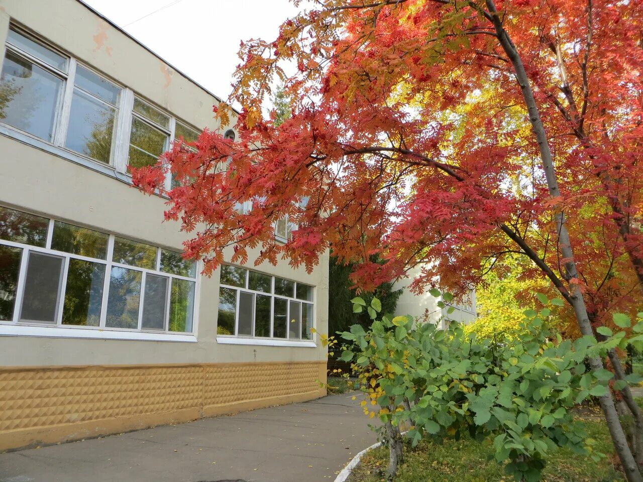Детский сад 3 омск. Детский сад 3 омск. Детский сад 263 омск. Детский сад 100 омск. Детский сад 3 омск.