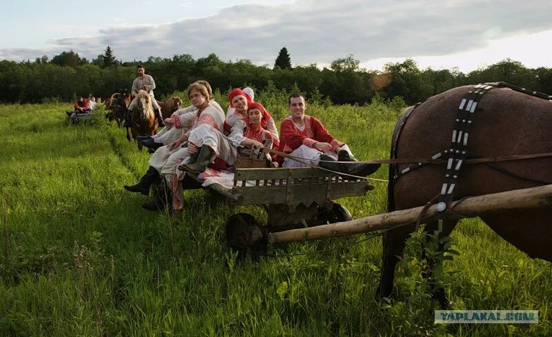 Подруга телега. Женщина на телеге. Человек в телеге. Баба на телеге в деревне. Фотосессия с телегой.