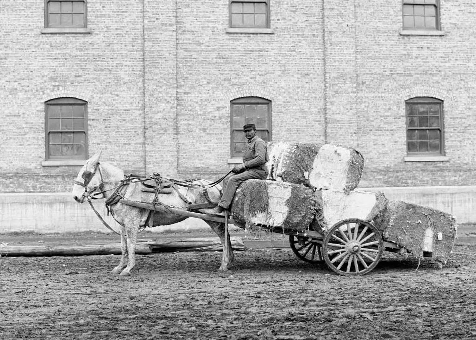 Груженные повозки. Транспорт гужевой 19 век. Гужевой транспорт 18 век. Карета с лошадьми 19 век. Повозка на лошадиной тяге.