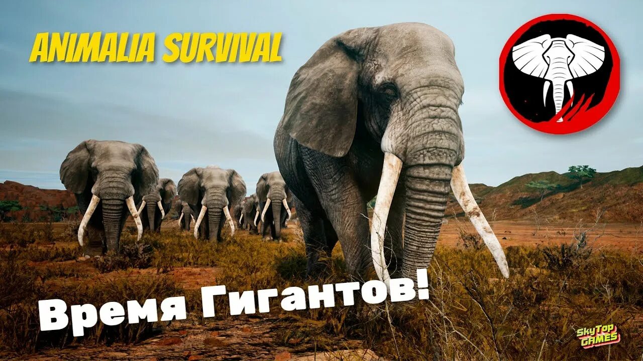 Animalia Survival игра. Animalia игра Саванна. Animalia Survival список животных. Феофилов и слон стрим. Elephants time