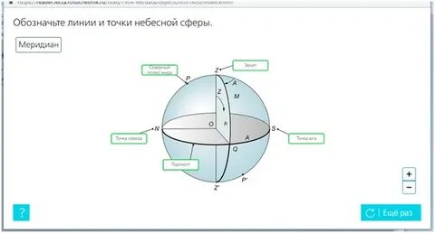 Основные линии сферы
