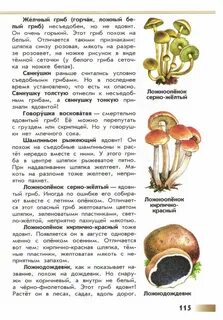 Информация о определителе
