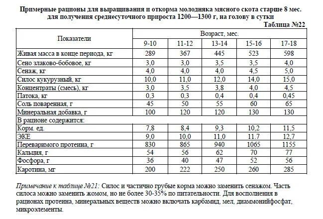 Рацион молодняка. Нормы кормления крупного рогатого скота. рацион кормления бычков на откорме таблица. рацион кормления крс мясного направления таблица. нормы кормления крс мясного направления таблица.