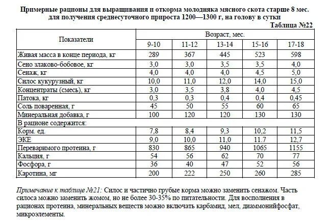 Сколько голов с 1 кг. Нормы кормления крупного рогатого скота. Таблица кормления Бычков на откорме. Рацион кормов для Бычков на откорме. Нормы кормления КРС мясного направления.