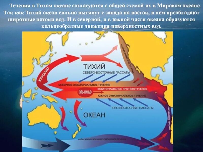 Постоянные течения в океане. Южное пассатное течение в тихом океане. Течения Тихого океана Куросио. Течения Северной части Тихого океана. Карта течений Тихого океана.