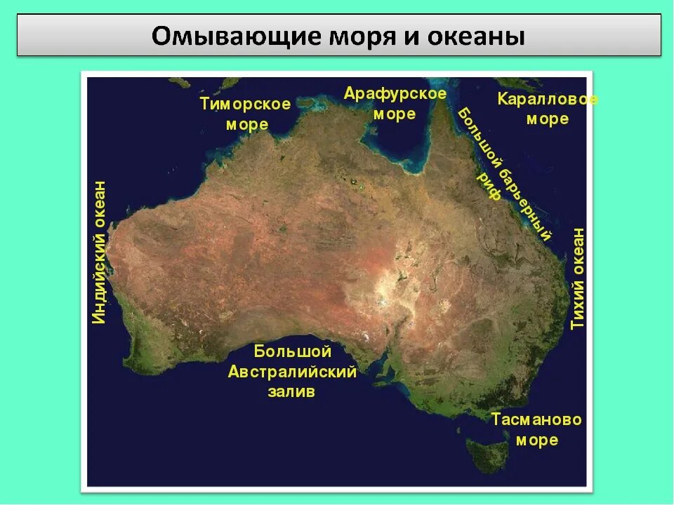 Океан омывающий австралию с востока. Какие моря омывают Австралию. Моря и океаны Австралии. Моря материка Австралия. Какие моря омывают материк Австралия.