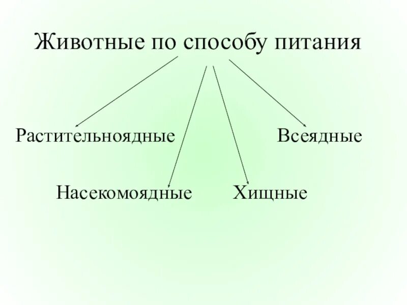 Разделите птиц на группы по способу питания. Группы животных по типу питания. Разнообразие способов питания животных. Способы питания животных травоядные Хищные всеядные. По способу питания животные делятся.