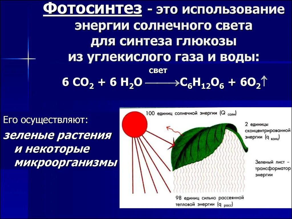 Со2 фотосинтез реакция. Фотосинтез растений стадии. Фотосинтез растений 2 кл. Фотосинтез о2 со2. Зачем растениям фотосинтез