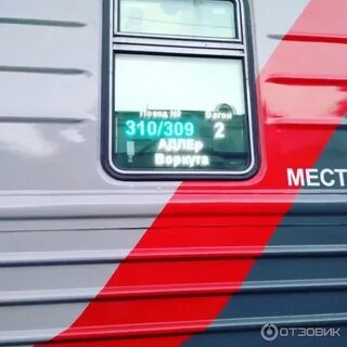 310 поезд вагоны