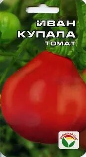 Иванами томатами