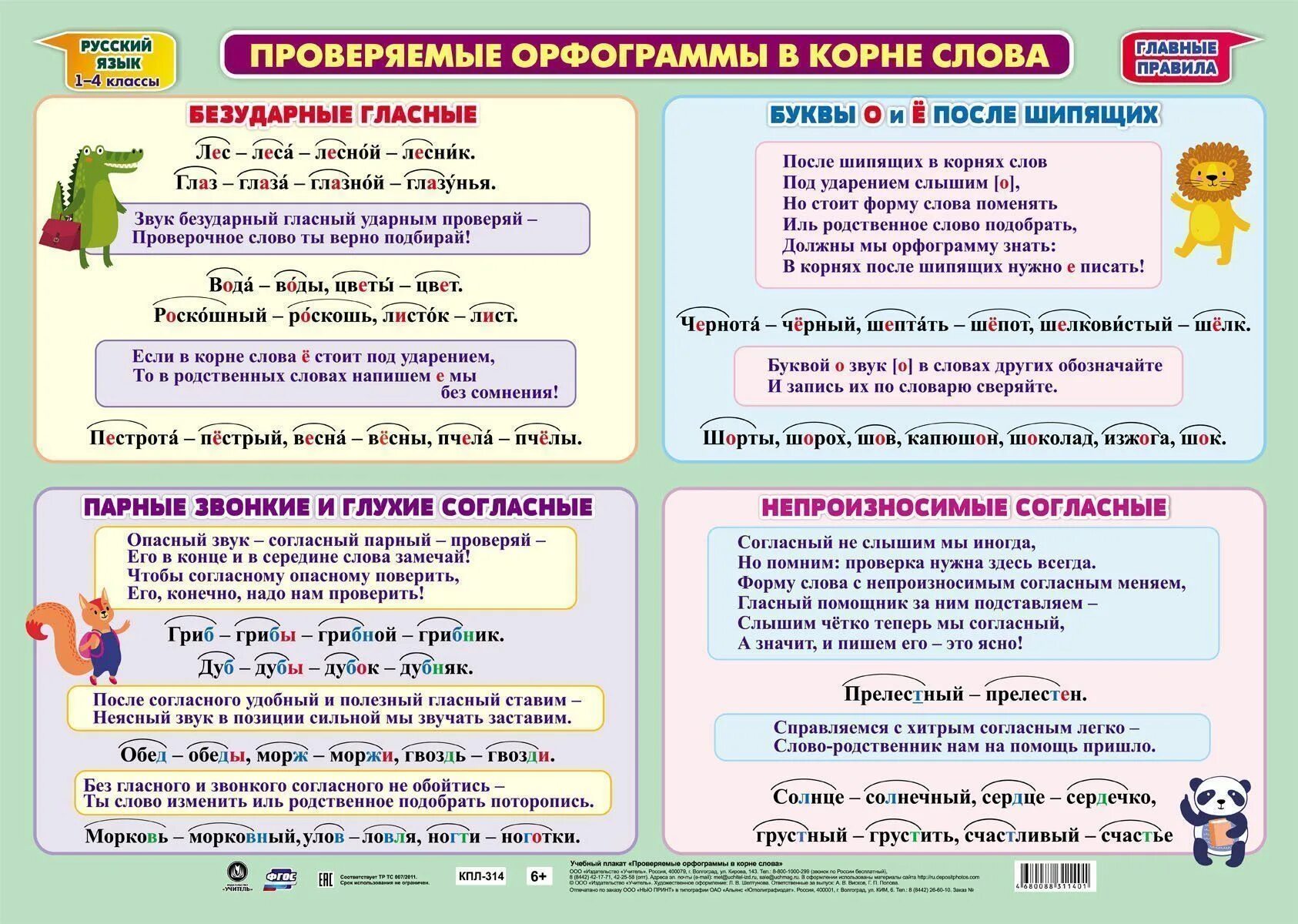 Картина орфограмма. Орфограммы. Орфограммы по русскому языку. Что такое орфограмма. Орфограммы русского языка 1 класс.