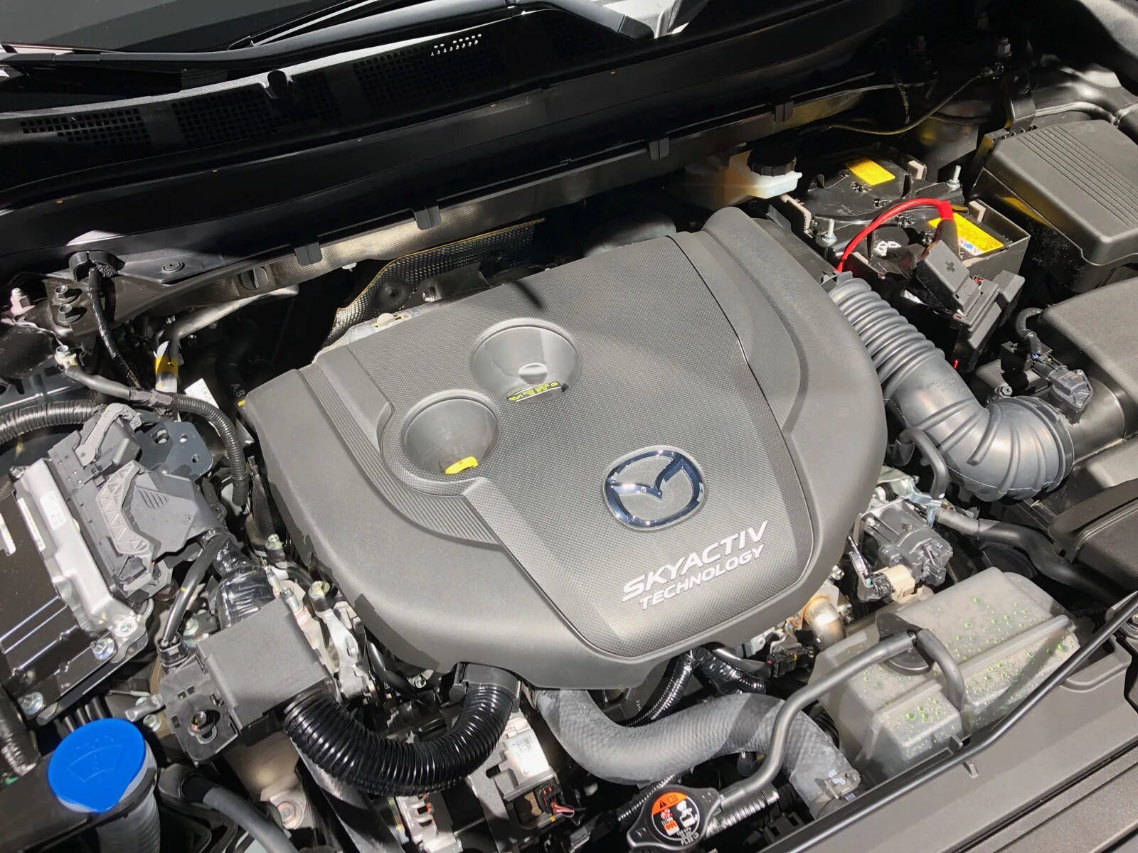 Mazda 3 skyactiv g 1. Двигатель мазда сх7. Mazda 5 под капотом. Дизельный или бензиновый двигатель. Мазда бензин или дизель.