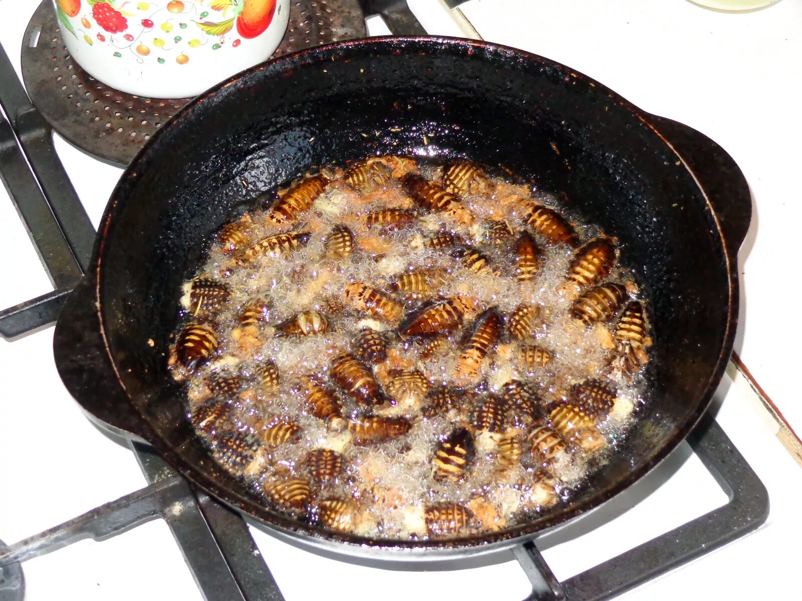 Жареные мадагаскарские тараканы. Тараканы блюдо. Жареные жуки. Можно ли жареные
