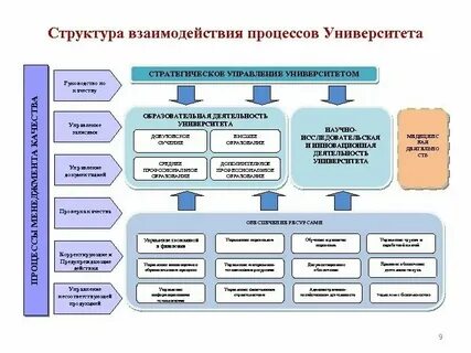 Основные процессы в высшем образовании