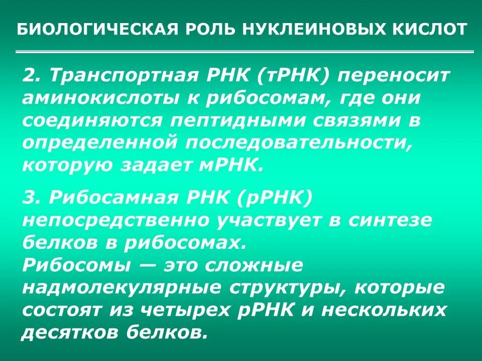 Биологическая роль нуклеиновых кислот. Биологическая роль РНК. Биологическая роль т-РНК:. Биологическая роль транспортной РНК. Биологические свойства рнк