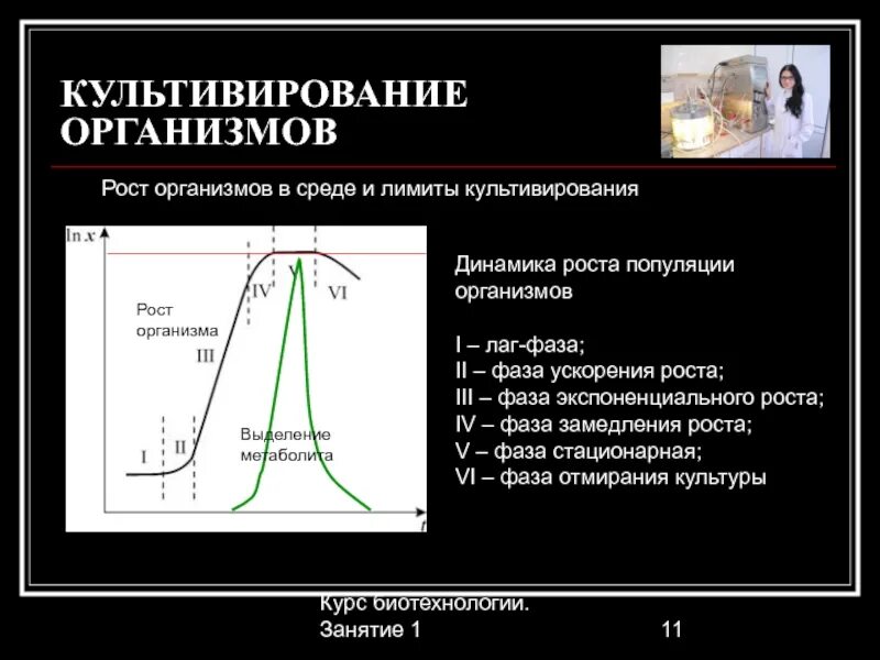 Нормализованная экспоненциальная. Лаг фаза экспоненциальная фаза. Лаг фаза роста. Лаг фаза фаза ускорения роста. Лаг фаза микроорганизмов.