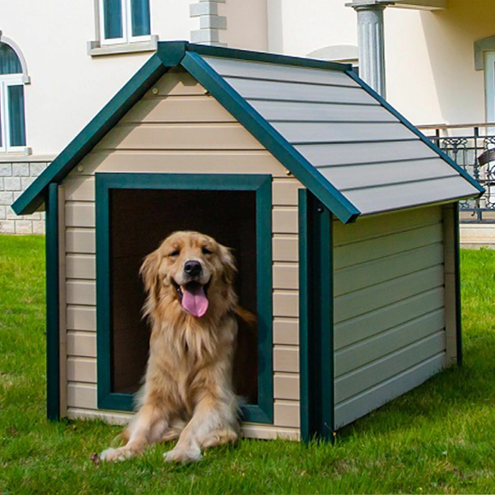 Демо версия дог хаус dog houses info. Собачья конура будка. Конура для 3 собак. Будка для собаки Keter. Конура для собаки Keter.