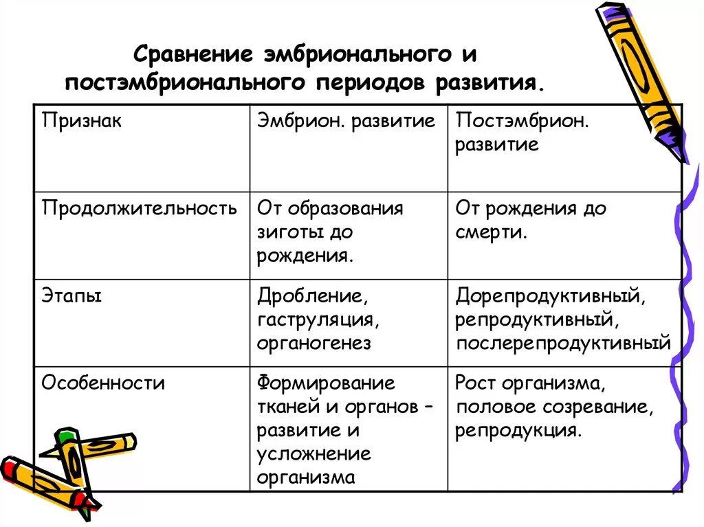 Эмбриональный и постэмбриональный период развития таблица. Эмбриональный и постэмбриональный период. Этапы эмбрионального и постэмбрионального развития. Этапы эмбрионального и постэмбрионального развития человека.