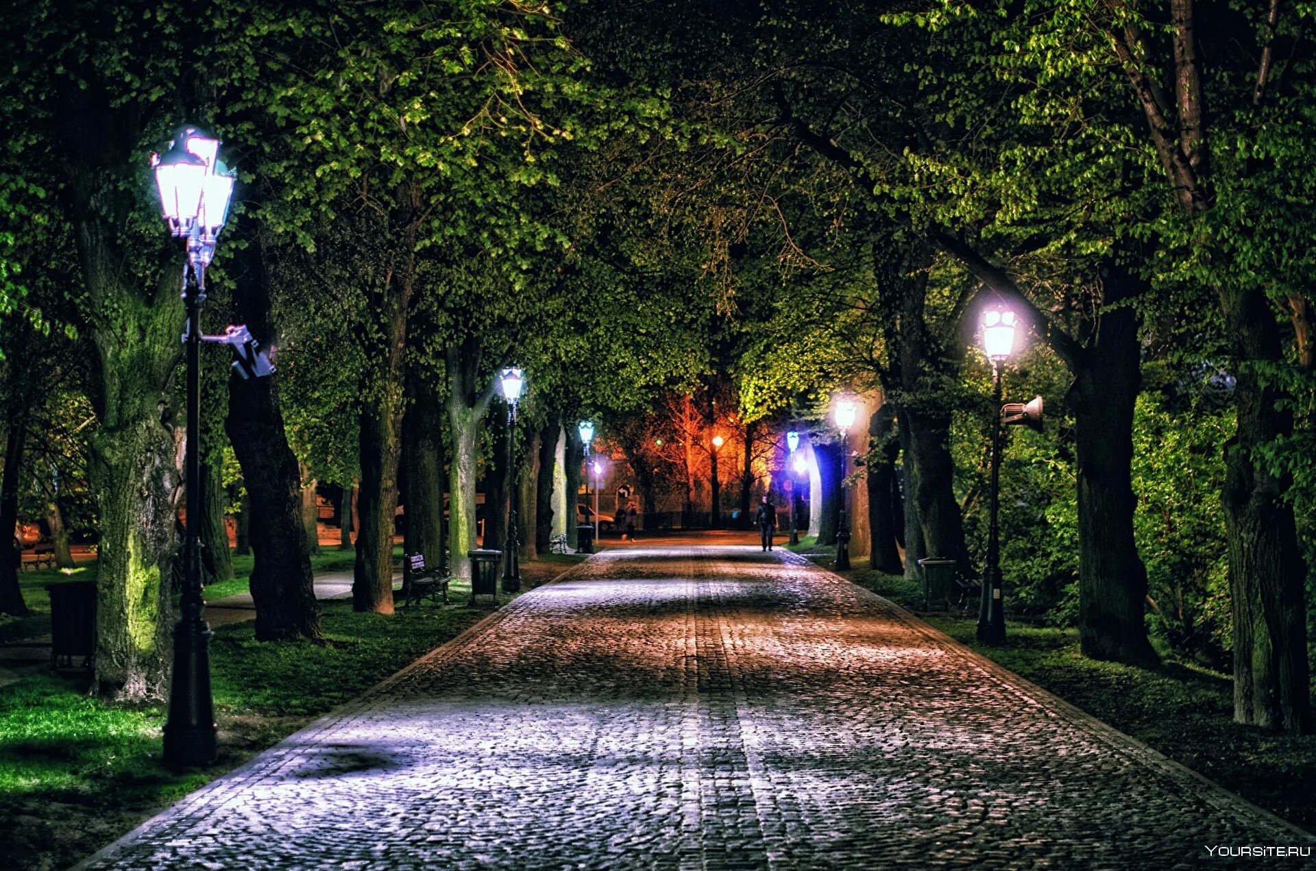 Фото парков вечером