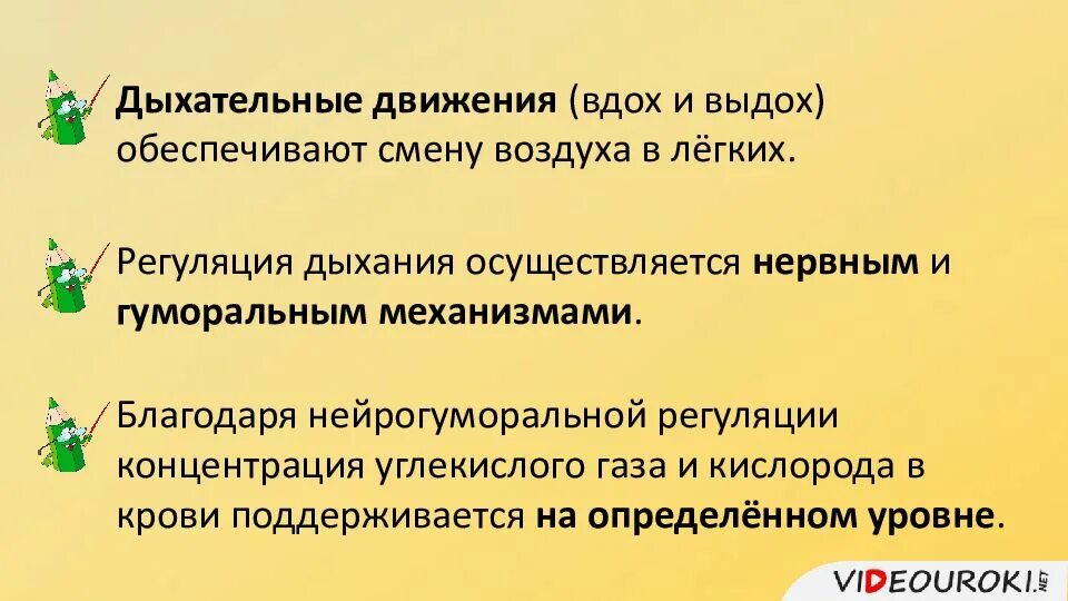 Каков механизм дыхательных движений обеспечивающих