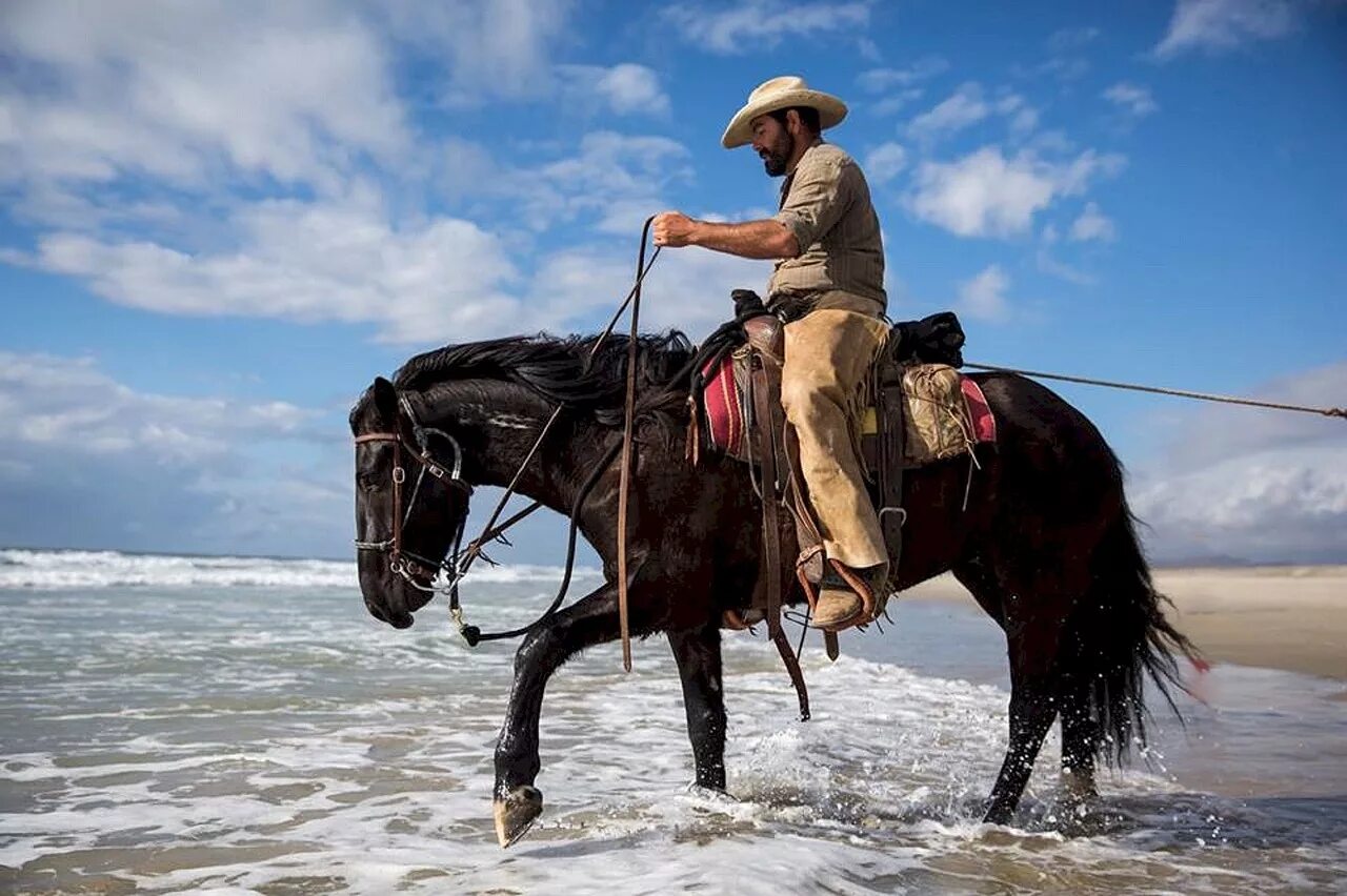 The horse rider. Ковбой. Ковбой на лошади. Путешественник на лошади. Верховая езда.