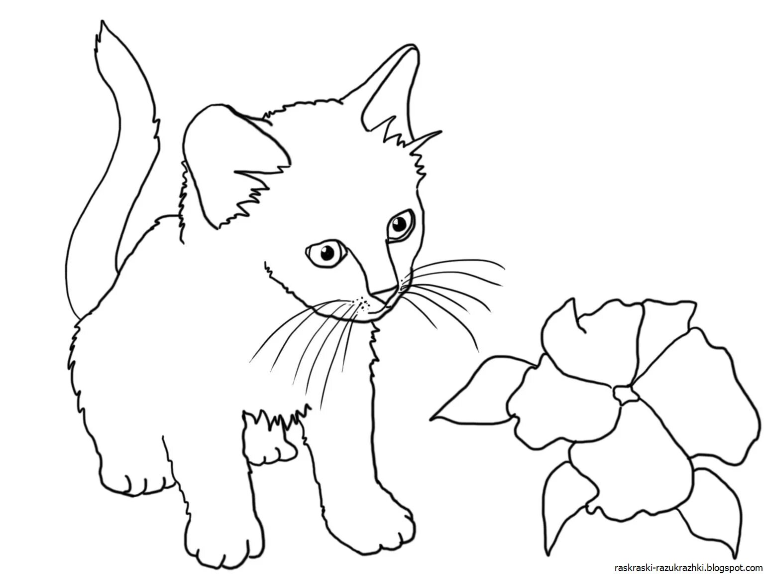 Распечатка котиков раскраска. Котенок. раскраска. котенок для раскрашивания. раскраски для девочек животные. кошка раскраска для детей.