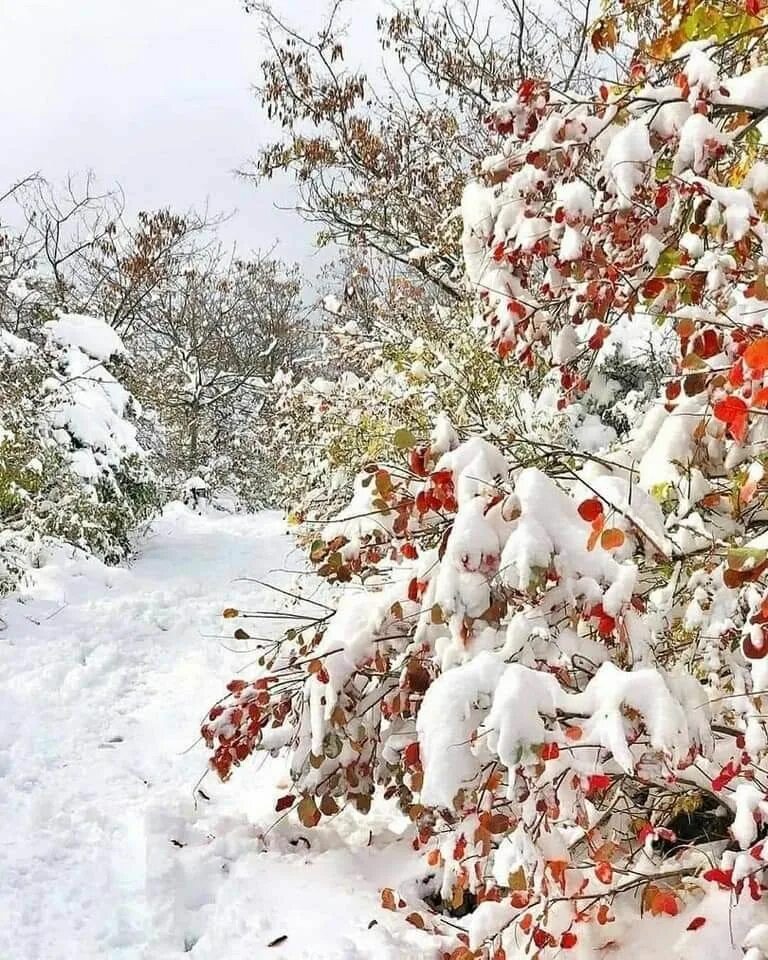 Наступление зимы