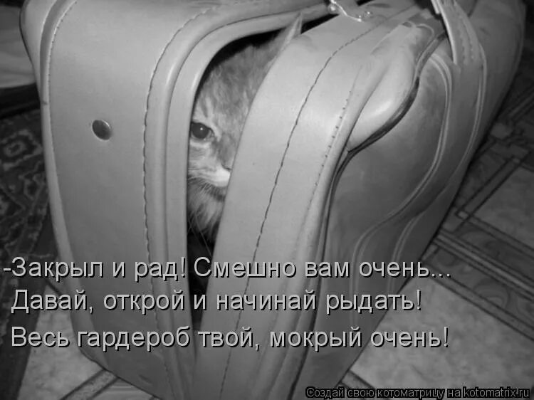 Смешные скрины. Фразы на авто. Очень собирайтесь ехать. Хочу машину хочу напиться. У меня традиция каждый год хотеть на море.