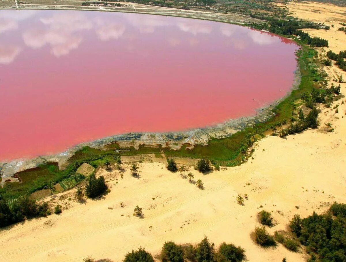Rose lake