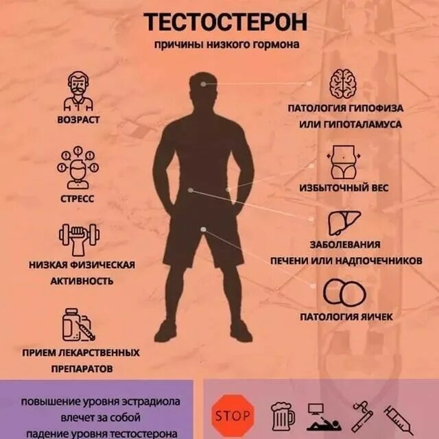 Как повысить тестостерон после 60. Повышение уровня тестостерона. тестостерон у мужчин. показатели высокого тестостерона у мужчин. тестостерон у парней.