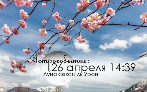 Лунный календарь повседневности на апрель 2024 года