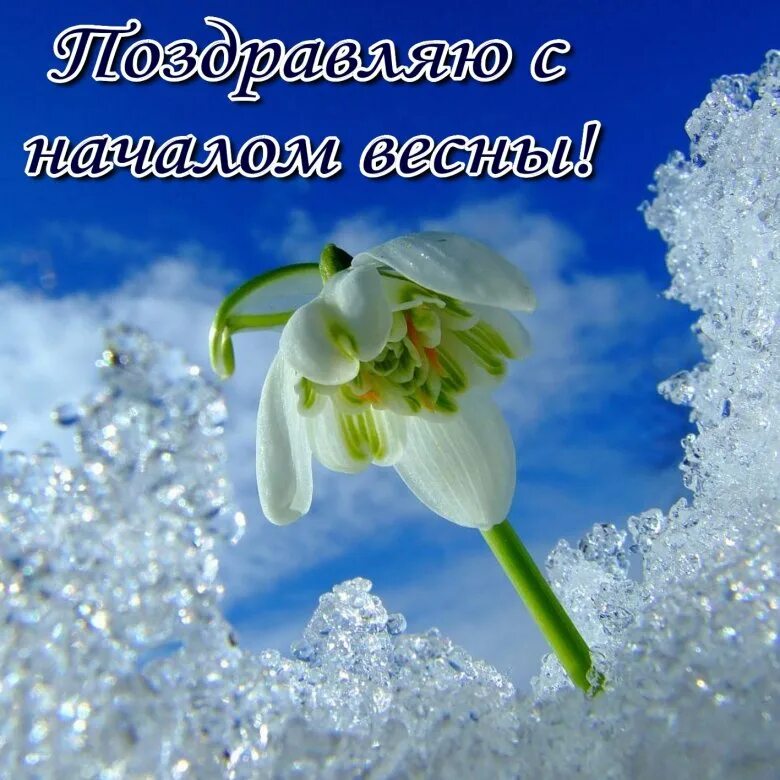 Открытки с последним днем зимы. Открытки с последним днем зимы