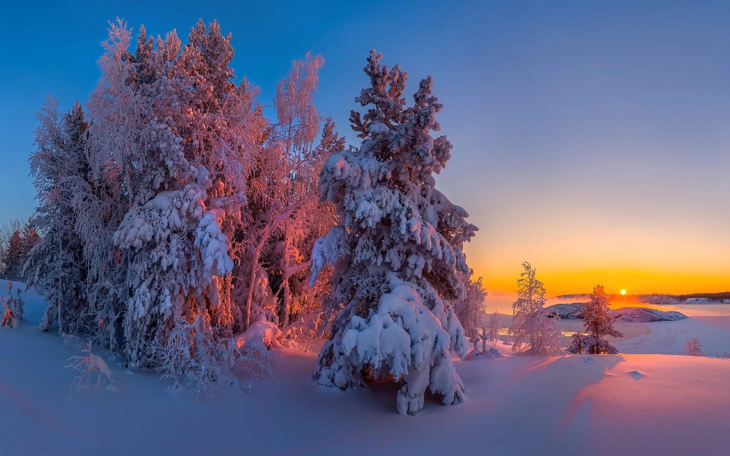 Покажи зимнюю картинку. Красота зимы. Красивая зима. Зимняя природа. Зима пейзаж.