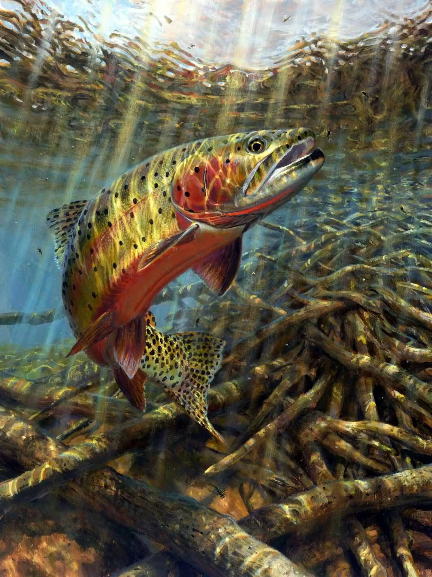 Щука плавает в воде. Mark Susinno художник. Красивые речные рыбы.