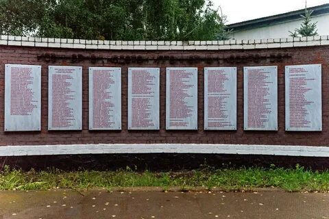Павшая без вести