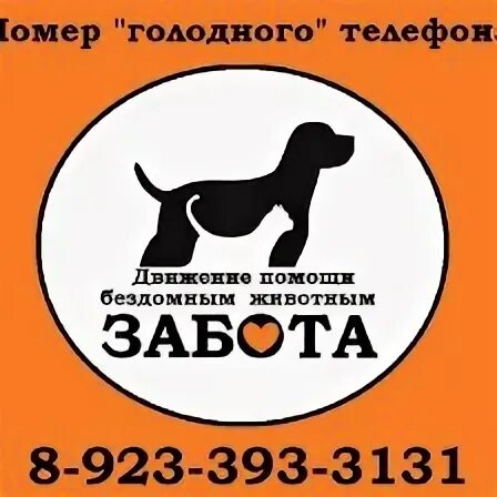 Логотип приюта для животных. Акция лапа помощи. Движение помощи животным. Бездомные животные. Ковчег ханты-мансийск.