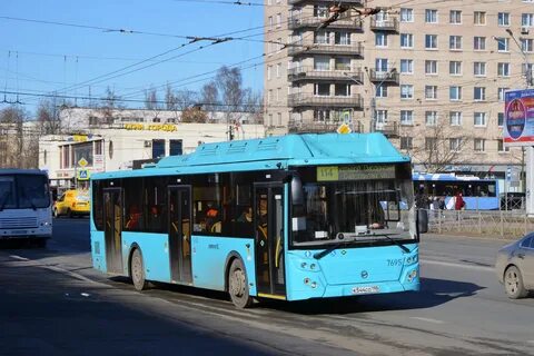 Маршрут 114 санкт петербург