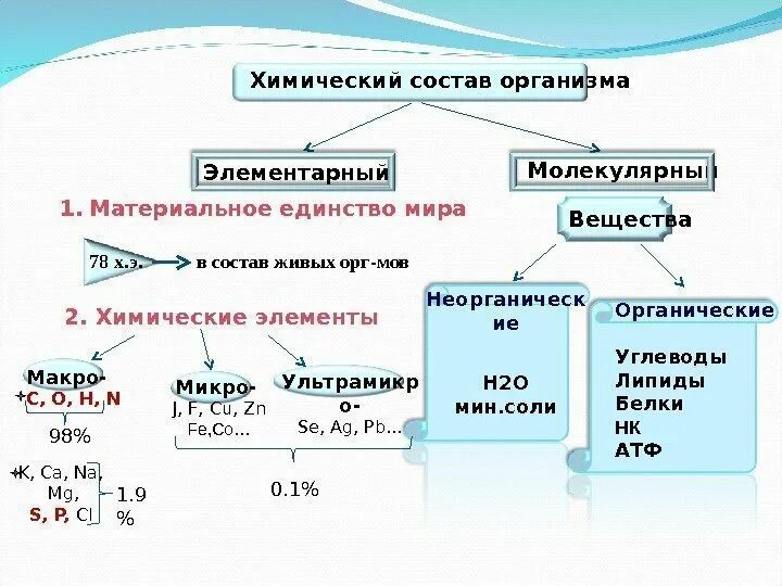 Химическая организация живого. Химический состав живых организмов. Элементарный химический состав живых организмов. Единство химического состава живых организмов. Единство хим организации живых организмов на земле.