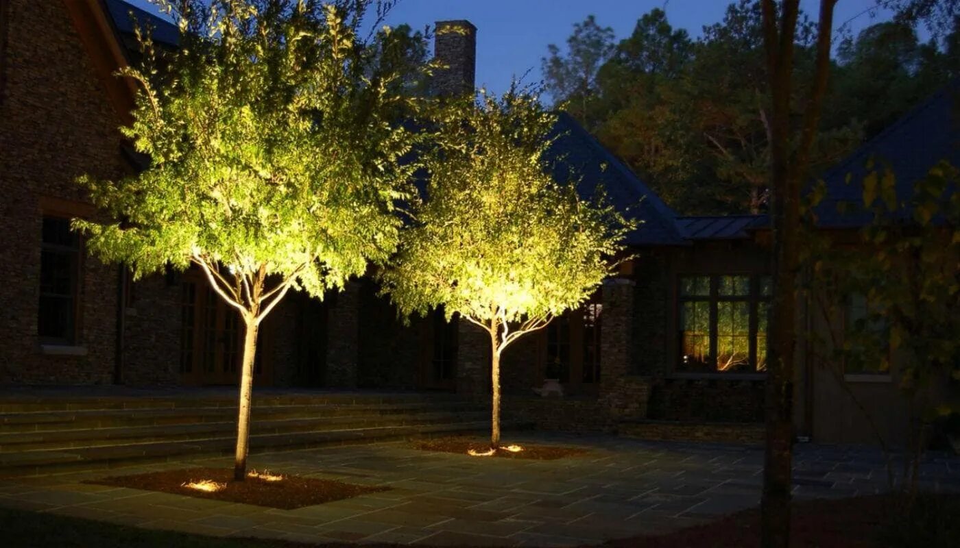 Освещение снизу. Подсветка лазерная Garden x-33p Светлячок. РГБ подсветка деревьев. Подсвечивание снизу деревьев. Подсветка деревьев прожекторами.