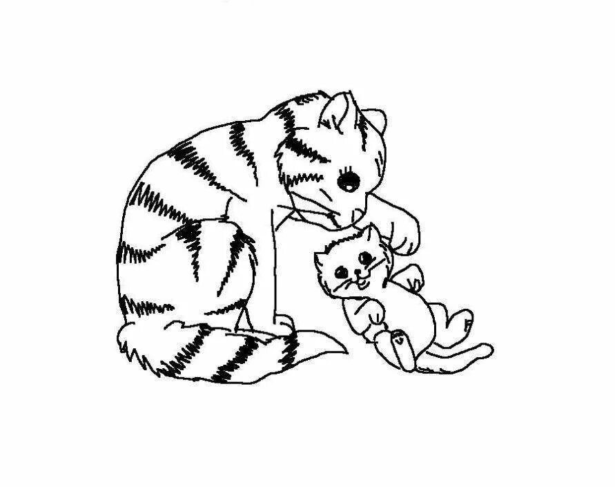 Рисунок забота о животных. Раскраска кошка с котятами. кошки и собаки раскраски для детей. кошка с котятами картинки для детей раскраски. кошка с котятами рисунок.