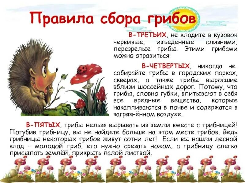 Почему грибы надо срезать. Почему грибы надо срезать